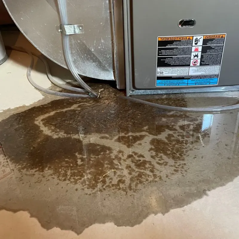 Pipe Burst and Leak Restoration in Bondsville, MA