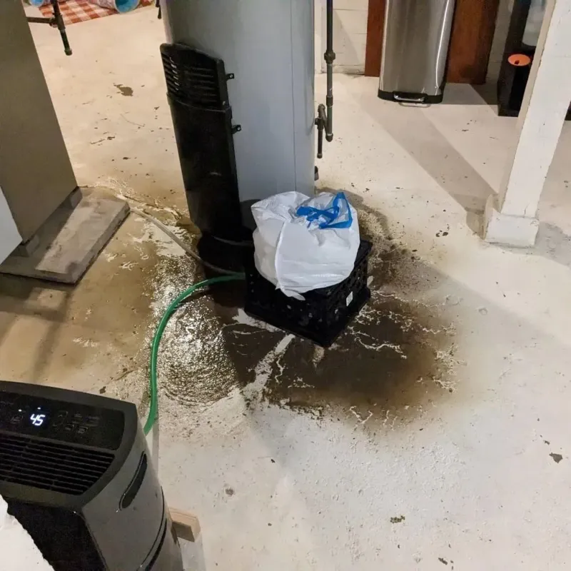 Sewage Backup Cleanup Service in Bondsville, MA